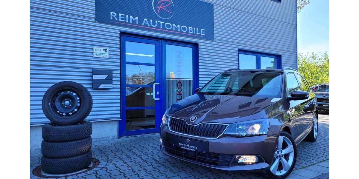 Skoda Fabia 128.955 km 9.950 &euro; Lingen (Ems) 49811