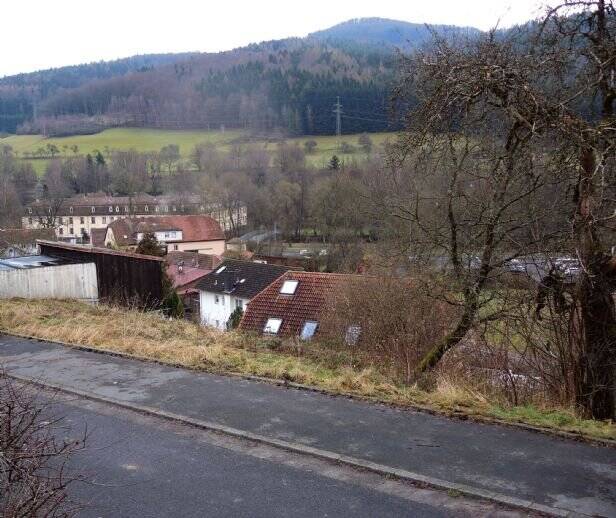 Baugrundstück, 790m², Hanglage, 29.000.- Euro zimmer