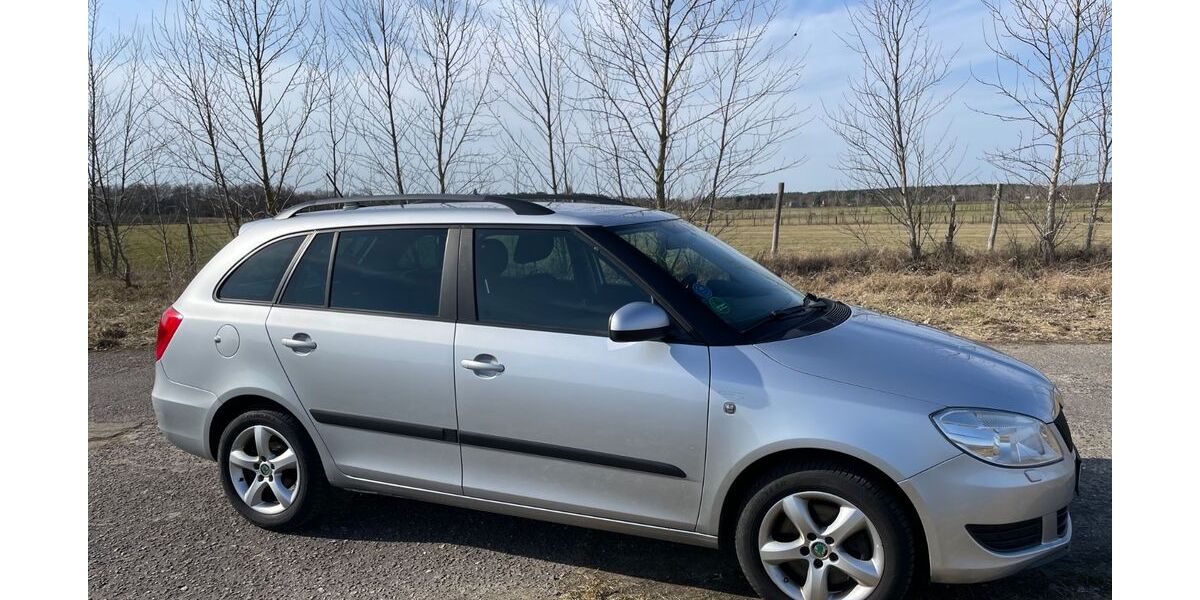 Skoda Fabia 172.000 km 4.800 &euro; Groß Kreutz 14550