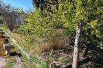 Grundstück Darmstadt - 90&euro; | Angebot:26383617