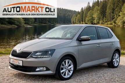 Skoda Fabia 47.000 km 14.790 &euro; Pfalzgrafenweiler 72285