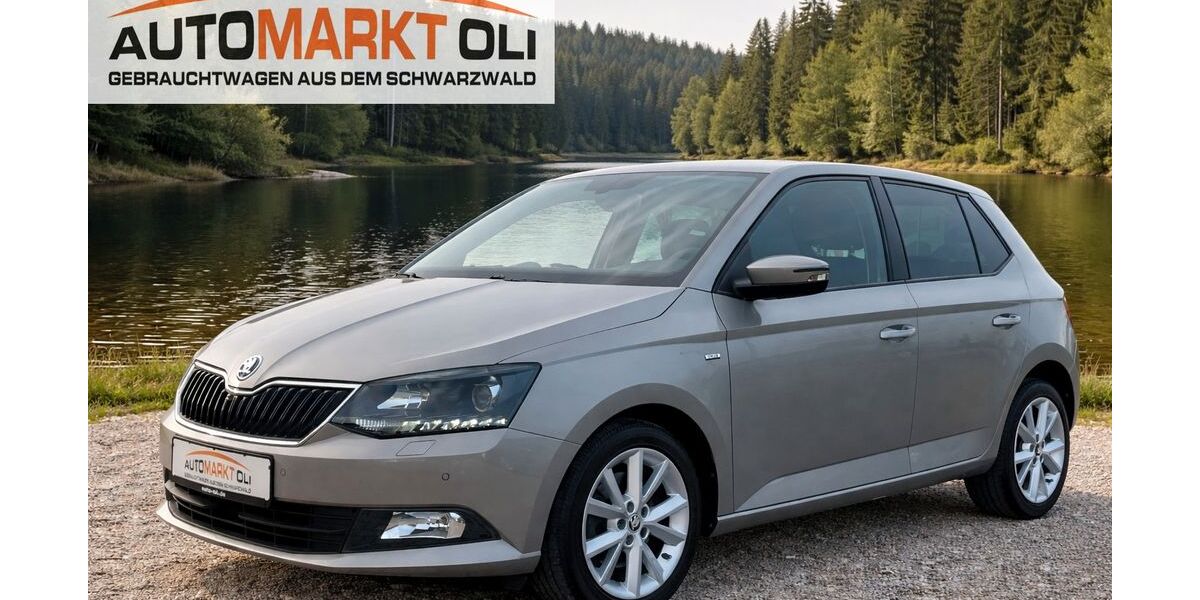 Skoda Fabia 47.000 km 14.790 &euro; Pfalzgrafenweiler 72285