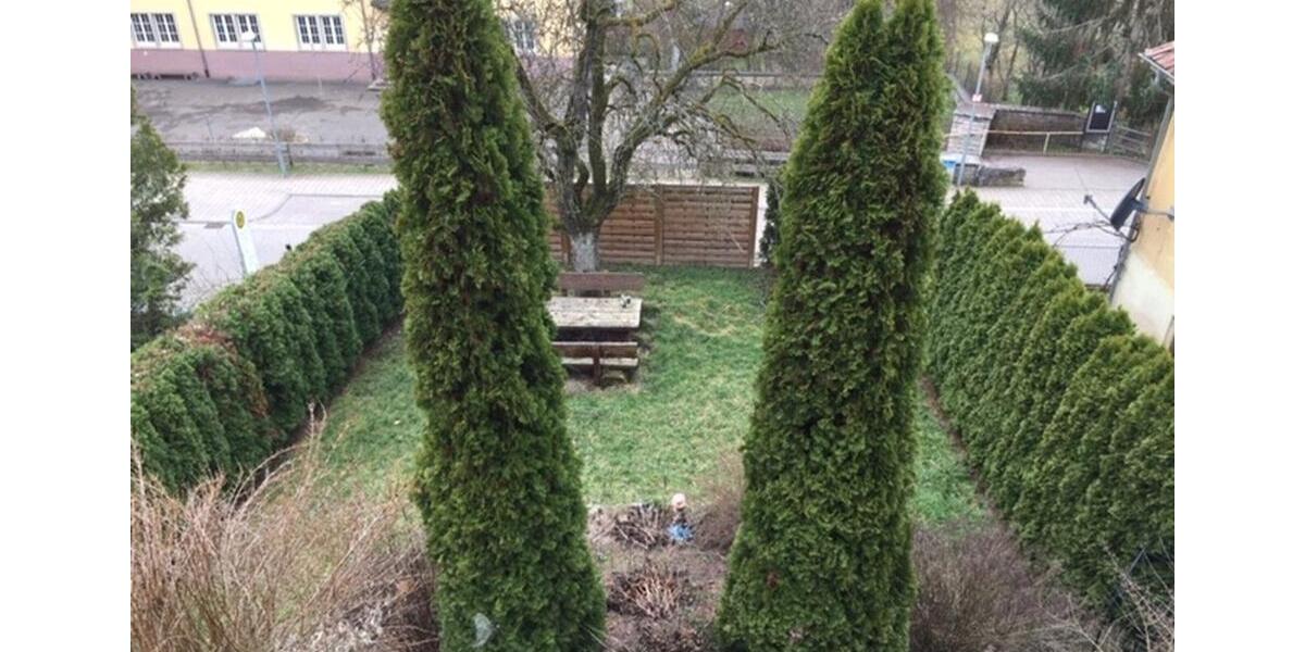 Einfamilienhaus Schöntal - 7 Zimmer, 210 m&sup2;, 1.900&euro; | Angebot:24585632