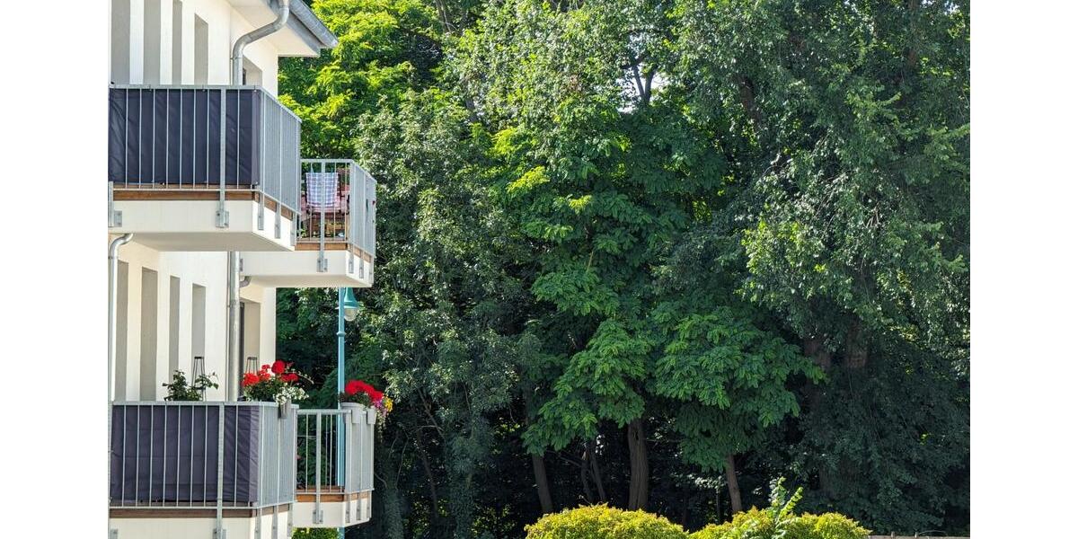 Ab April 2026 Helle barrierefrei klimatisiert 2-Raum Wohnung Blick Ins Grüne an den Spreewiesen 2 zimmer