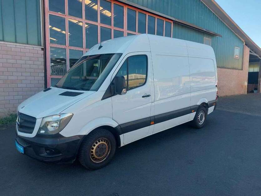 Sprinter