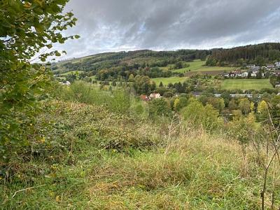WOHNEN MIT TRAUMHAFTEN AUSBLICK - Grundstück Balve | Angebot:27121940