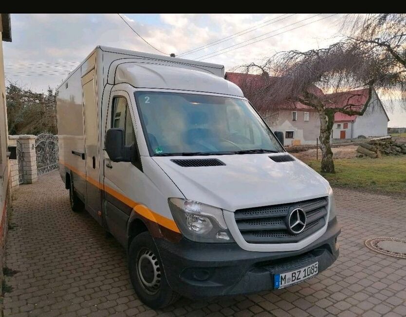 Sprinter