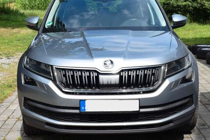 Skoda Kodiaq 164.548 km 18.500 &euro; Grasberg 28879