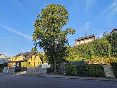 VIELSEITIGER RAUM FÜR LEBEN UND ARBEIT IN TOP-LAGE - Grundstück Steinheim an der Murr | Angebot:26378464