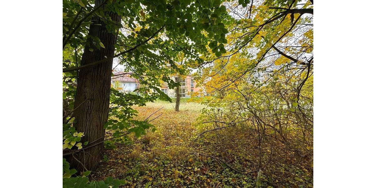 Grundstück Waltershausen - 69.050&euro; | Angebot:25729826