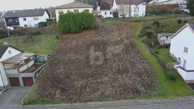 TOP LAGE, VIELE BAUMÖGLICHKEITEN, 765M² - Grundstück Beckingen | Angebot:27145411