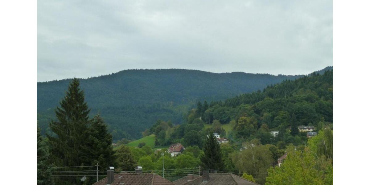 Etagenwohnung Waldkirch - 2 Zimmer, 60 m&sup2;, 750&euro; | Angebot:25321943