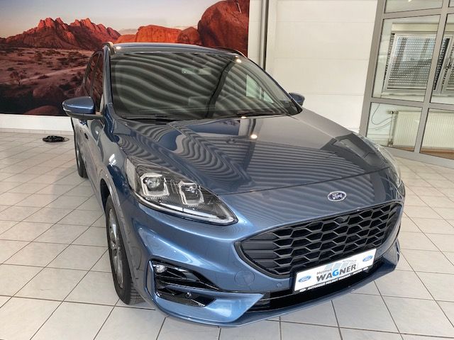 Kuga