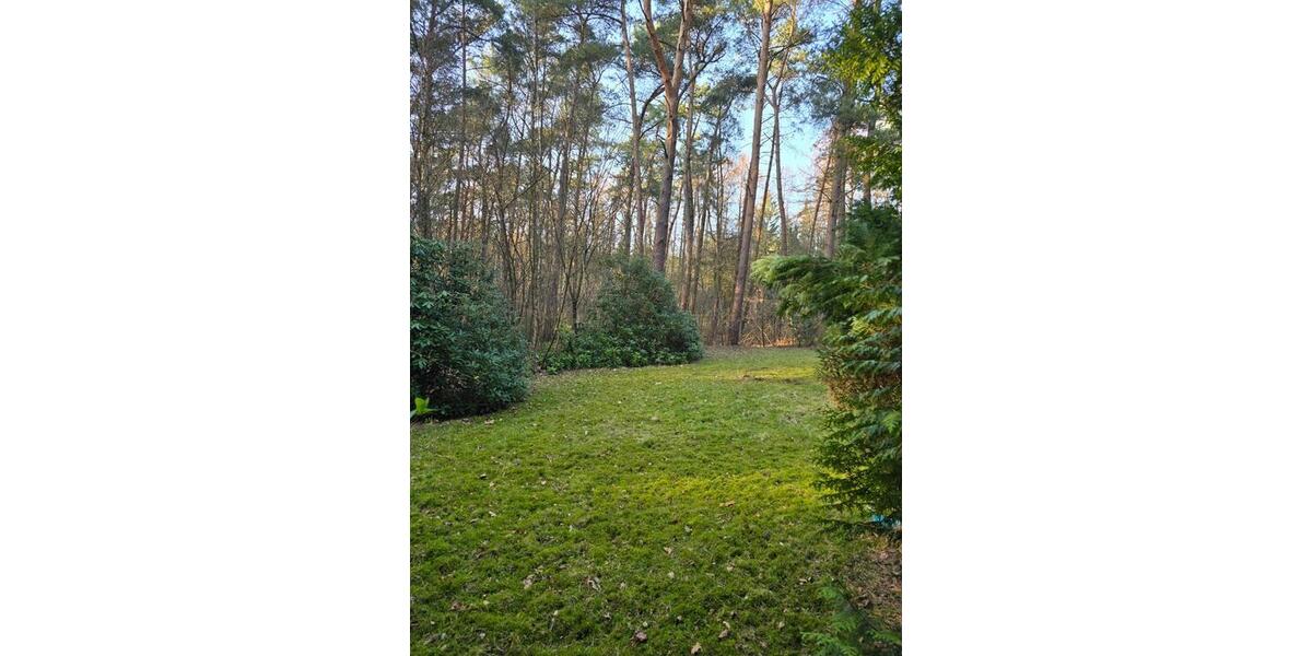 Einfamilienhaus Wildeshausen - 5 Zimmer, 100 m&sup2;, 250.000&euro; | Angebot:25853627