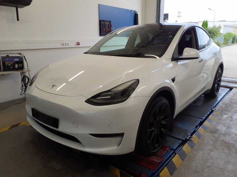 Model Y