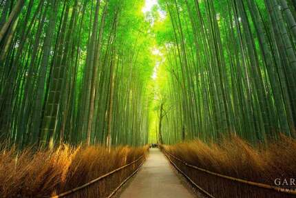 Grundstück Karlsruhe Mühlburg - 930.000&euro; | Angebot:25476153