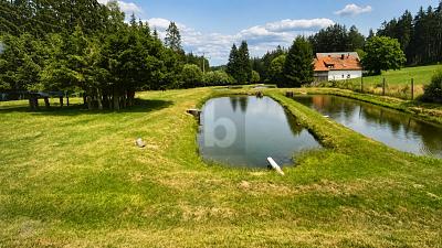 NATURREFUGIUM MIT TEICHANLAGEN UND 2 GEBÄUDEN - Grundstück Kulmain | Angebot:27109387