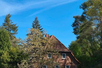 Haus Neu Darchau - 8 Zimmer, 186 m&sup2;, 295.000&euro; | Angebot:26695041