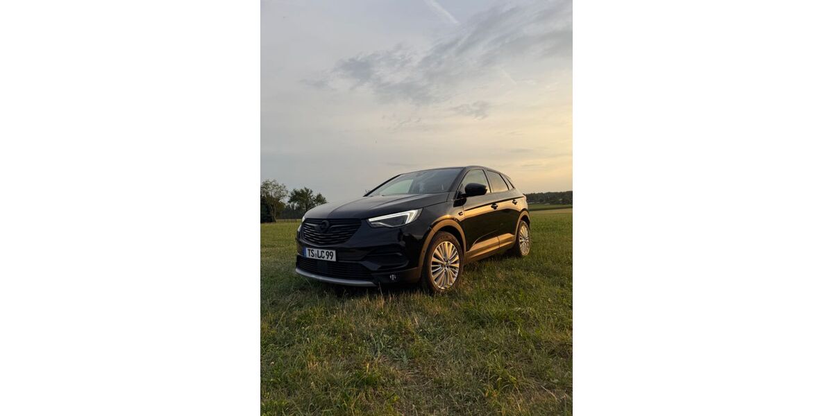Opel Grandland (X) 142.100 km 13.500 &euro; Kienberg 83361