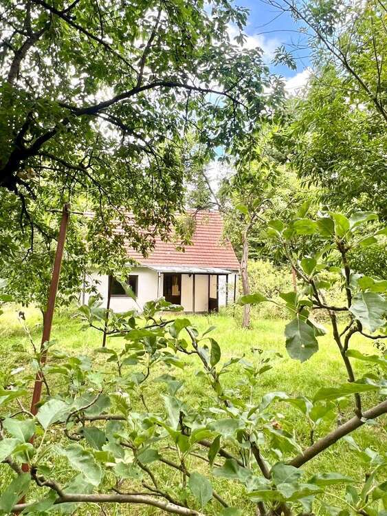 Haus zum Kaufen in Fürstenberg OT Barsdorf 219.000 € 100 m²