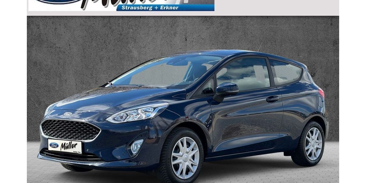 Ford Fiesta 69.110 km 10.900 &euro; Strausberg 15344