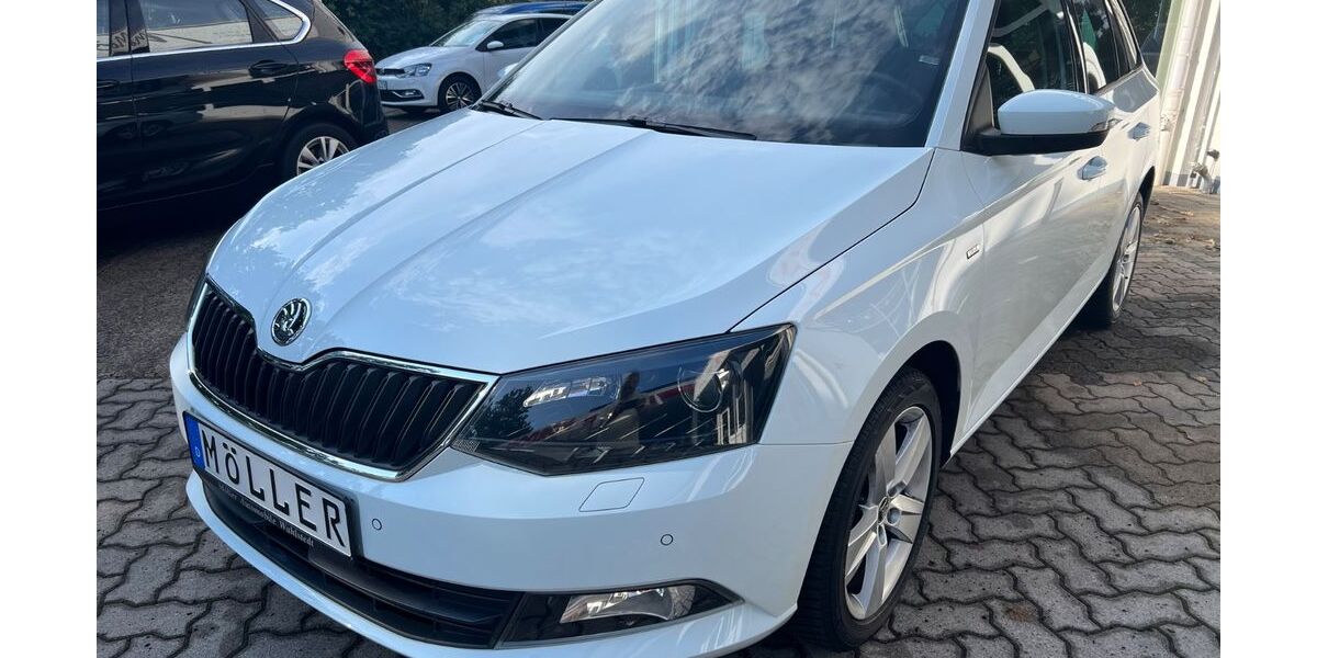 Skoda Fabia 90.000 km 9.999 &euro; Wahlstedt 23812