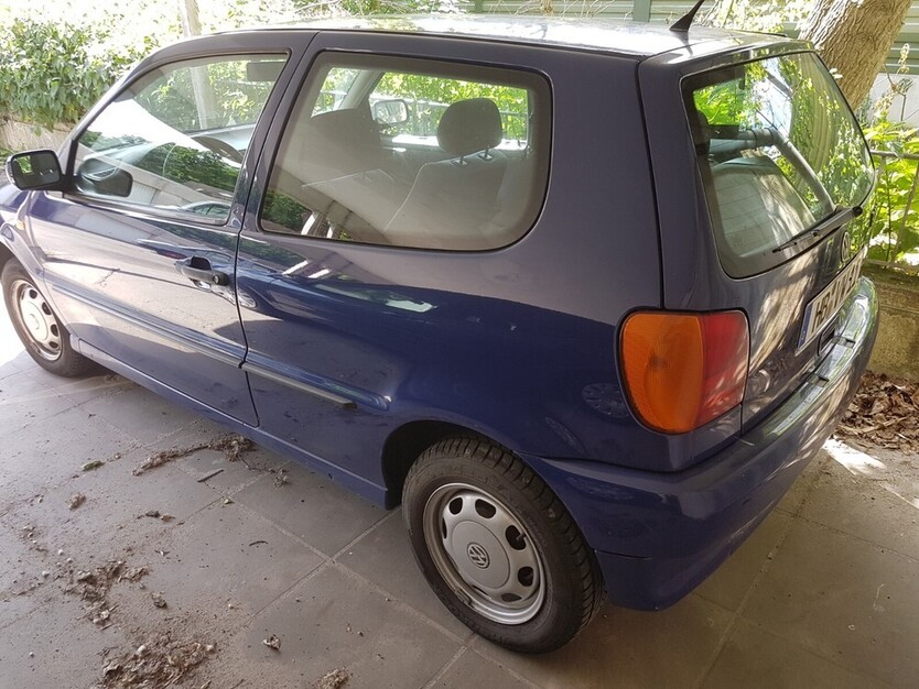 Polo