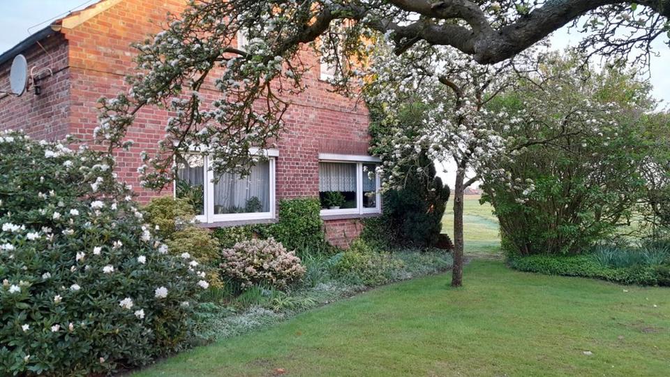 Bauernhaus, Landhaus Esens - 7 Zimmer, 170 m&sup2;, 289.000&euro; | Angebot:22755746