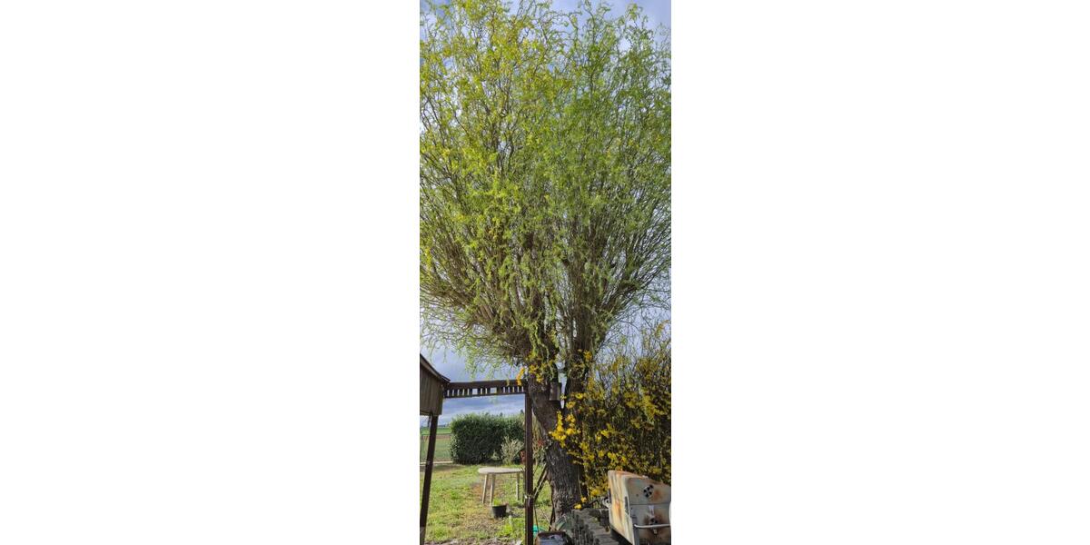 Einfamilienhaus Friedberg (Hessen) - 30.000&euro; | Angebot:26035142