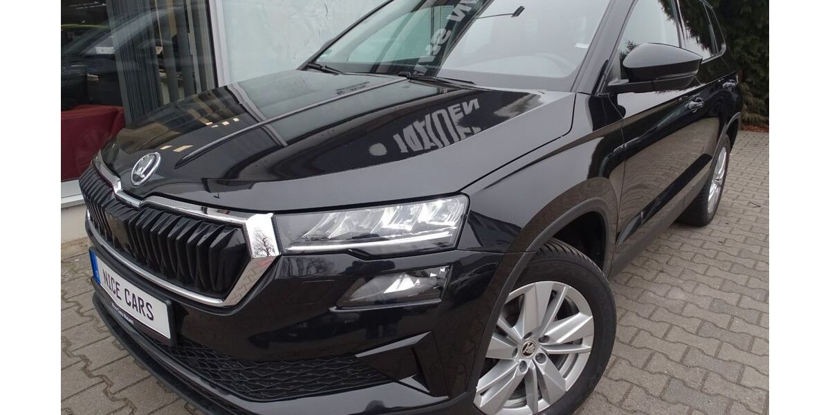 Skoda Karoq 63.110 km 28.990 &euro; Nauen 14641
