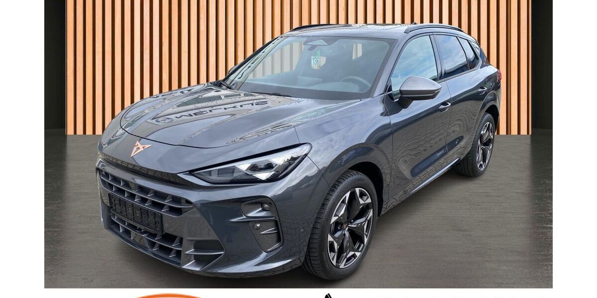 Cupra Terramar 13.500 km 34.980 &euro; Dresden 01328