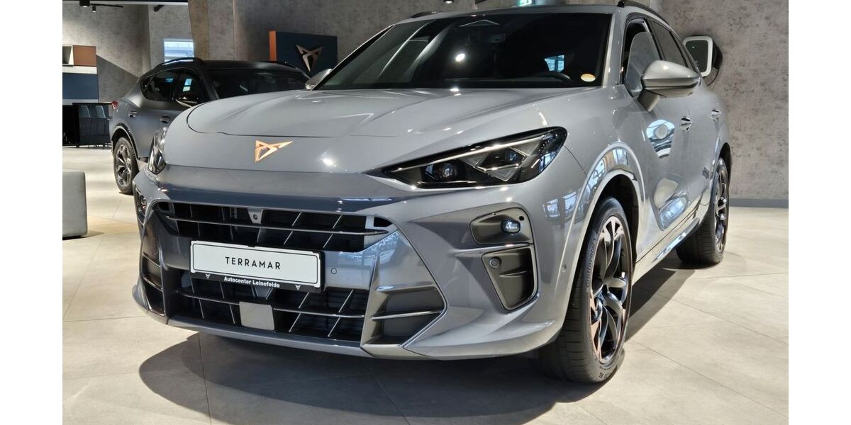 Cupra Terramar 9.209 km 47.990 &euro; Leinefelde-Worbis 37327