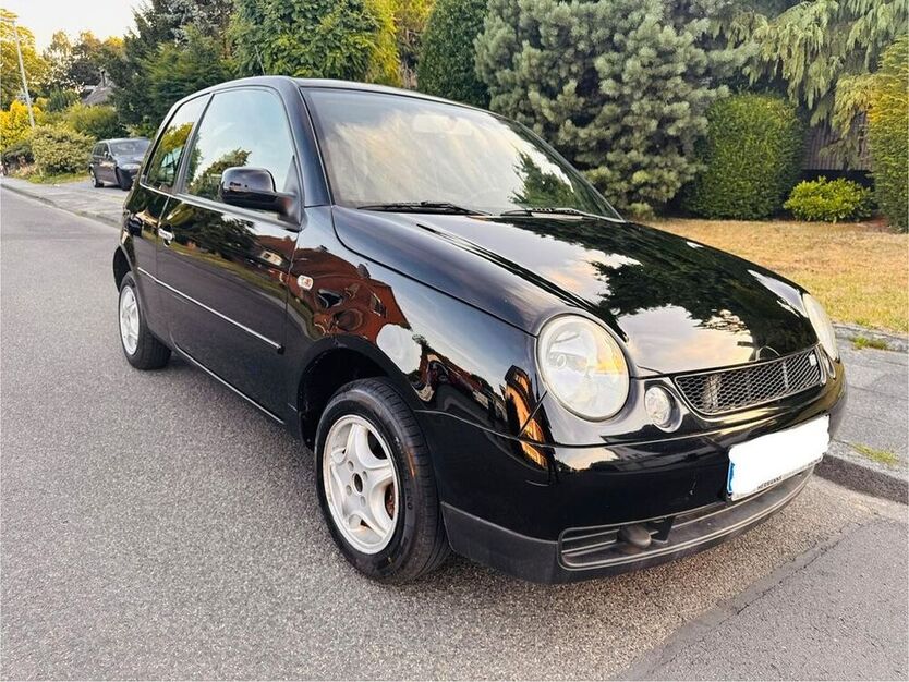 Lupo