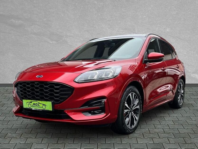 Kuga