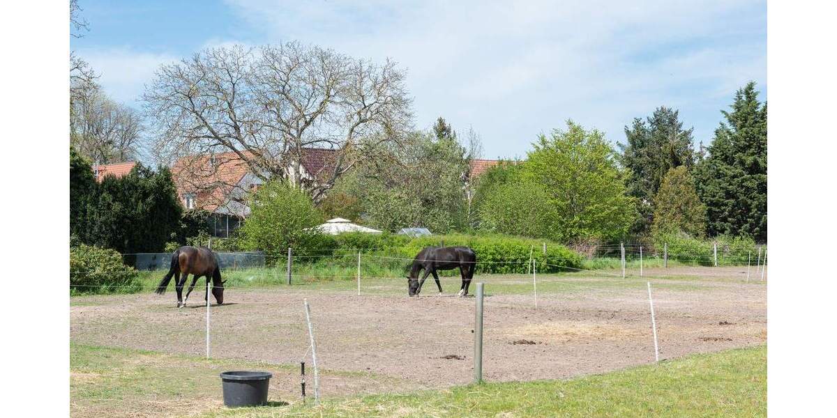 Ohne Käuferprovision! Vermietetes Reihenendhaus auf 3 Etagen. Direkt vom Eigentümer 4 zimmer