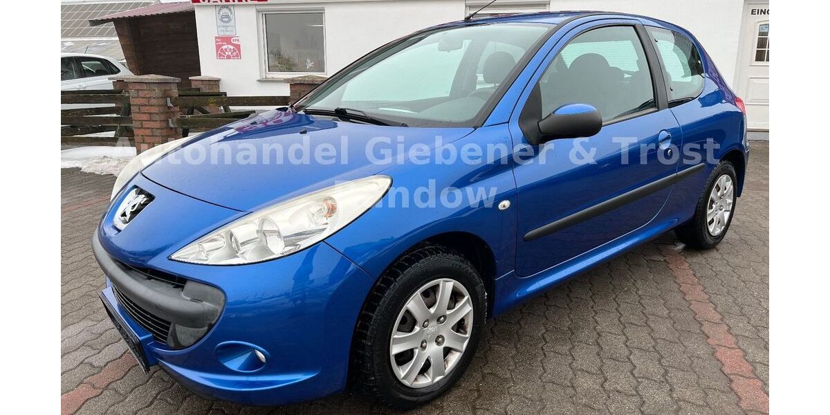 Peugeot 206 80.170 km 4.500 &euro; Demmin 17109