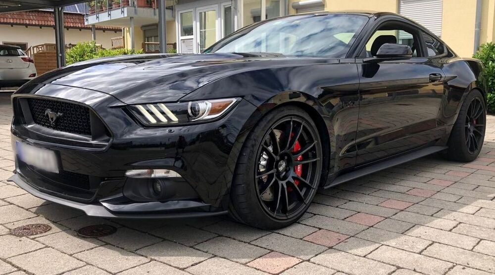 Mustang
