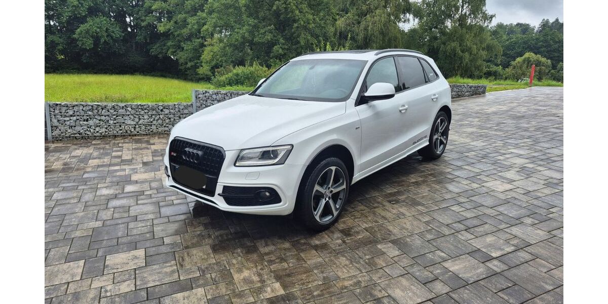 Audi Q5 141.680 km 19.000 &euro; Offenberg 94560