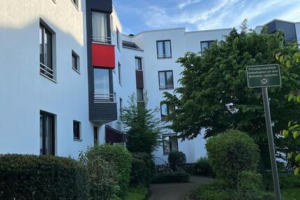 Mietwohnung 2-Zimmer Meckenheim zimmer