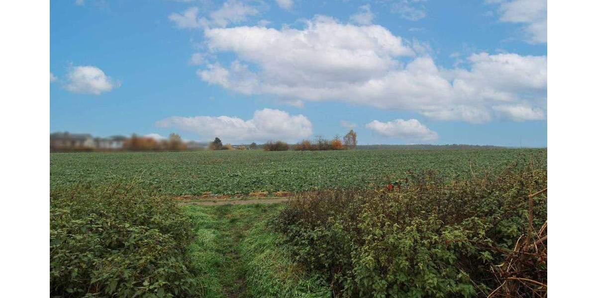 Einfamilienhaus Bernau bei Berlin Schönow - 5 Zimmer, 151 m&sup2;, 475.000&euro; | Angebot:24915433