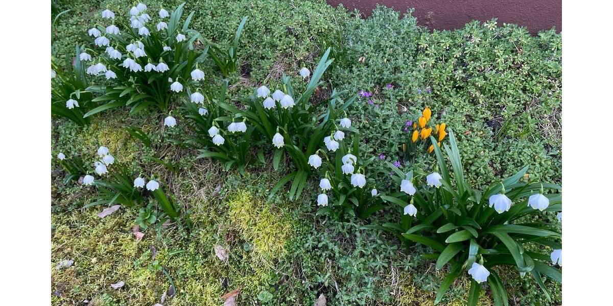 Mehrfamilienhaus, Wohnhaus Rödental Mönchröden - 9 Zimmer, 180 m&sup2;, 120.000&euro; | Angebot:26119197