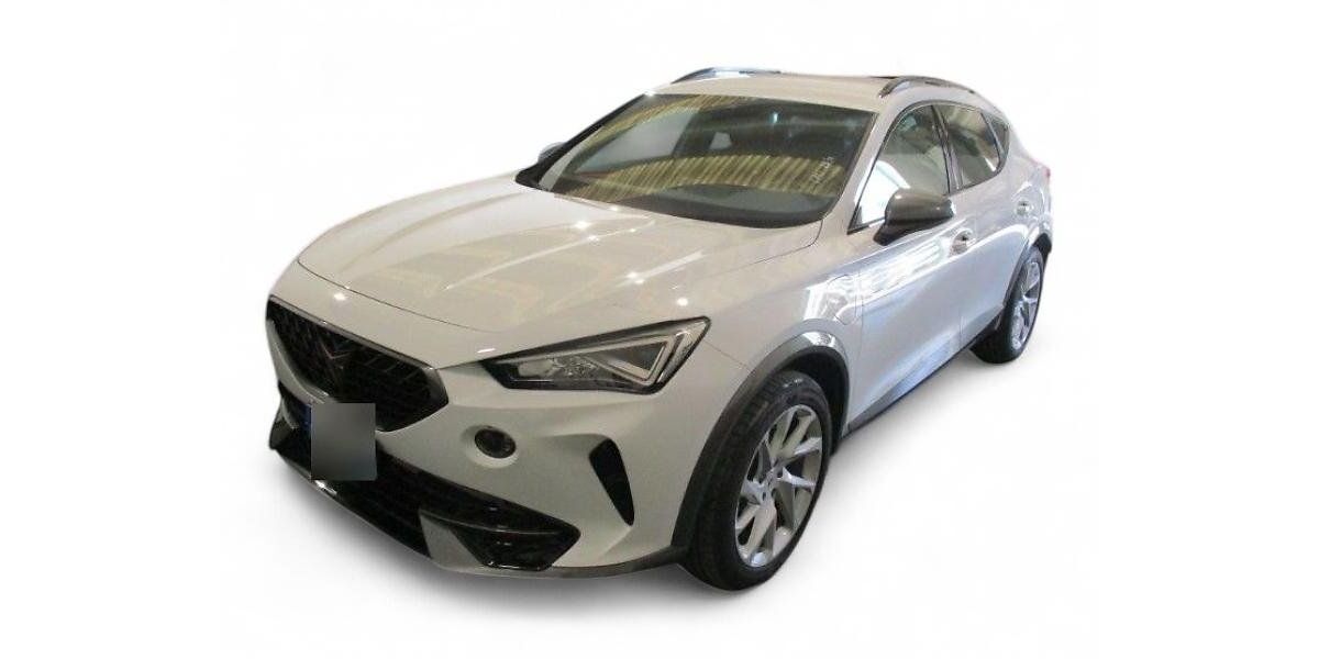 Cupra Formentor 27.414 km 24.999 &euro; Ergolding 84030