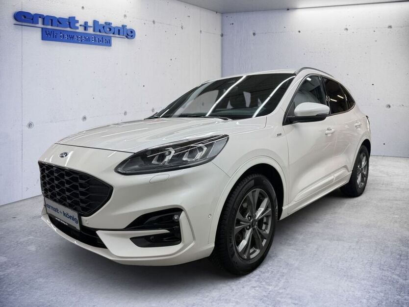 Kuga