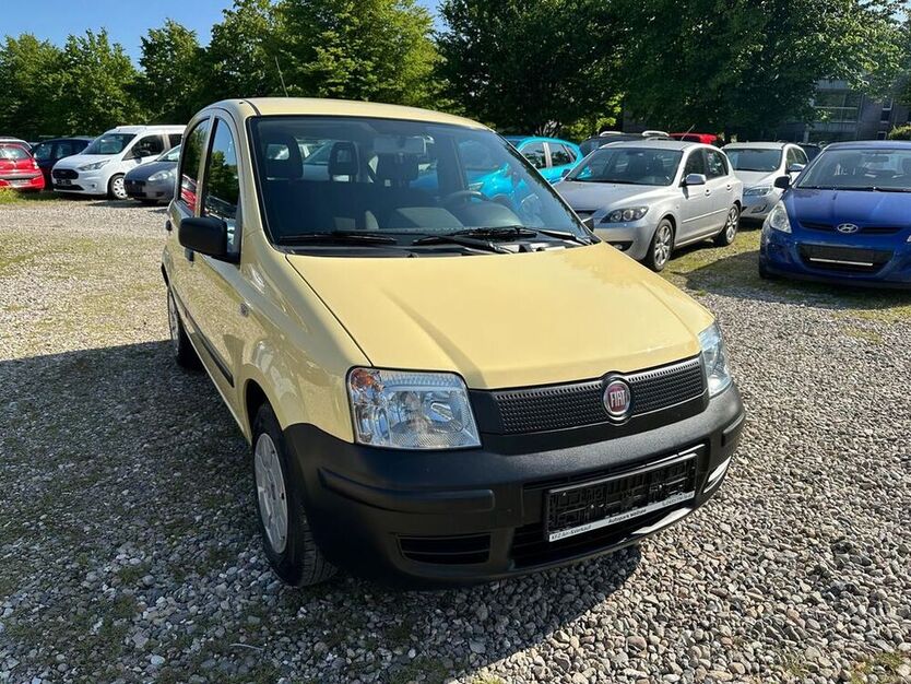 Panda