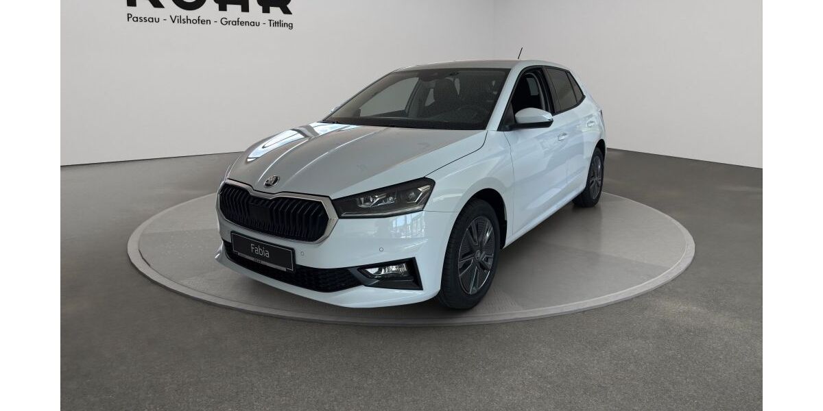 Skoda Fabia 3.500 km 26.390 &euro; Passau 94032