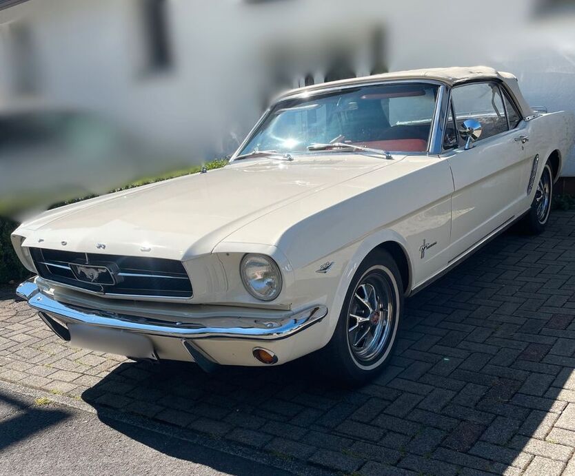 Mustang
