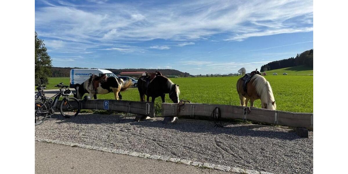 Pachtangebot: CaféBistro in toller Ausflugslage! Keine Ablöse! zimmer