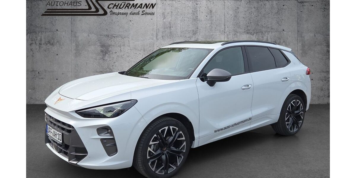 Cupra Terramar 4.850 km 42.400 &euro; Uffenheim 97215