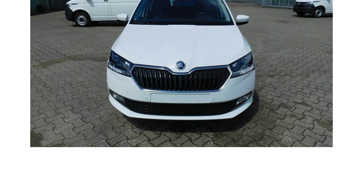 Skoda Fabia 1.0 Kombi Ambition Best TSI BMT Navi Klima 21.400 km 15.390 &euro; Vordorf 38533