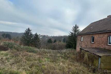 Grundstück Weißenfels Leißling - 130.000&euro; | Angebot:25729796